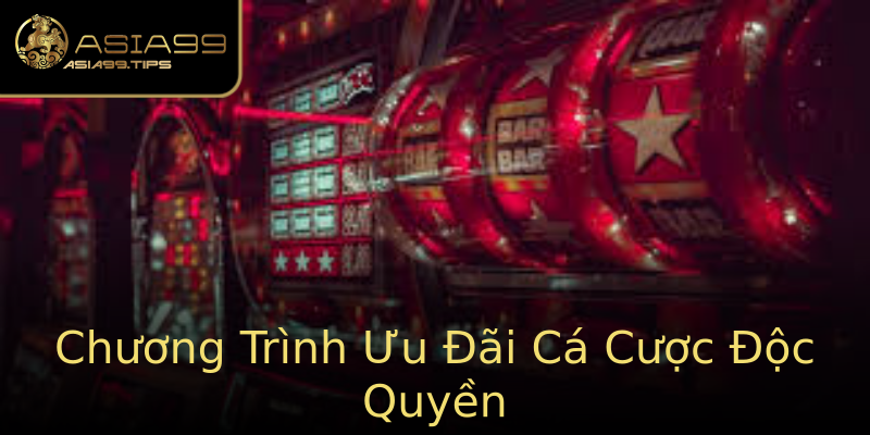 Chương Trình Ưu Đãi Cá Cược Độc Quyền Chương Trình Ưu Đãi Cá Cược Độc Quyền