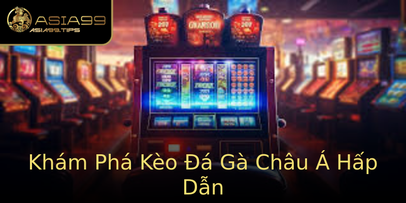 Khám Phá Kèo Đá Gà Châu Á Hấp Dẫn Khám Phá Kèo Đá Gà Châu Á Hấp Dẫn