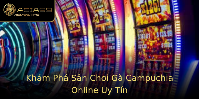 Khám Phá Sân Chơi Gà Campuchia Online Uy Tín Khám Phá Sân Chơi Gà Campuchia Online Uy Tín