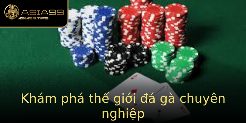 Khám phá thế giới đá gà chuyên nghiệp Khám phá thế giới đá gà chuyên nghiệp