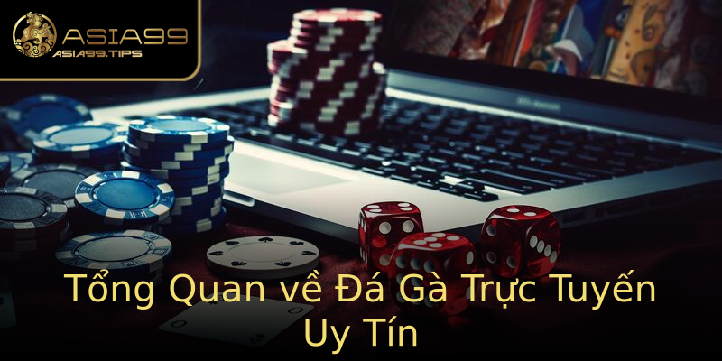 Tổng Quan về Đá Gà Trực Tuyến Uy Tín Tổng Quan về Đá Gà Trực Tuyến Uy Tín