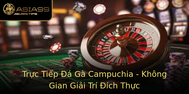 Trực Tiếp Đá Gà Campuchia - Không Gian Giải Trí Đích Thực Trực Tiếp Đá Gà Campuchia - Không Gian Giải Trí Đích Thực